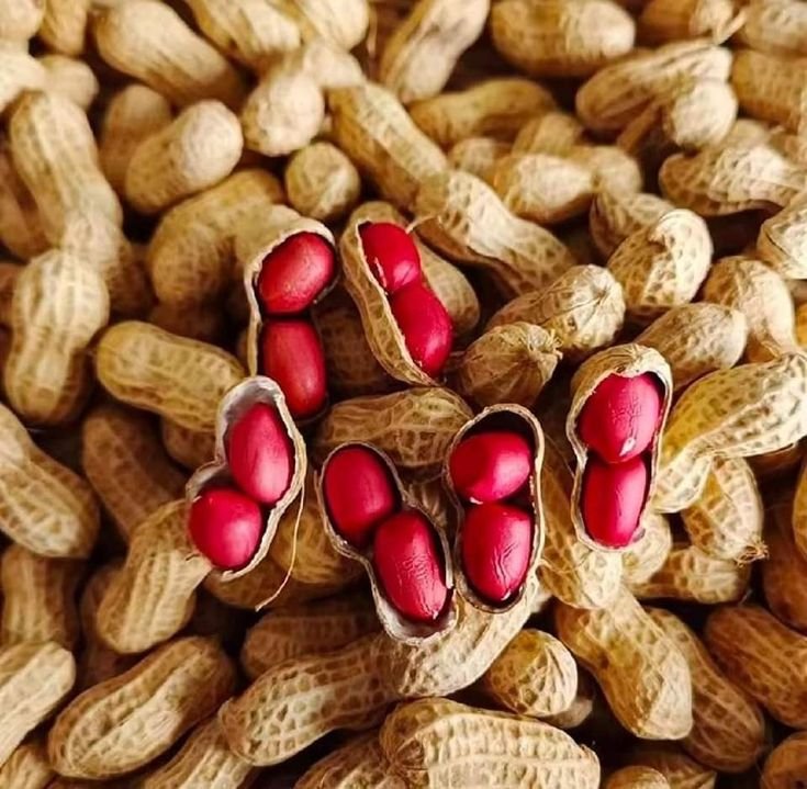 Groundnuts